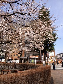 IMG_8733.jpg